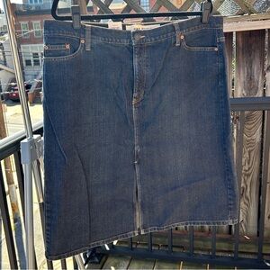Gap Denim Plus Skirt 20 NWT
